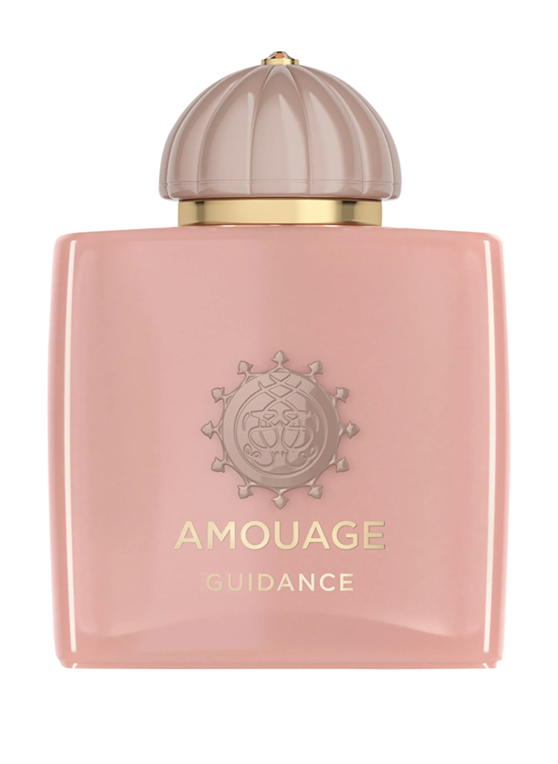 Amouage Guidance 100ml - Parfümerie Butsch-Rühl
